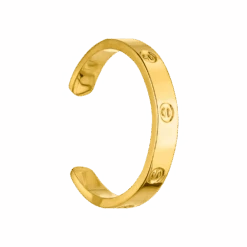 Arianna Ear Cuff | 18K Vergoldet