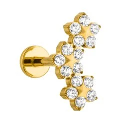 Bloomy Piercing | Titan