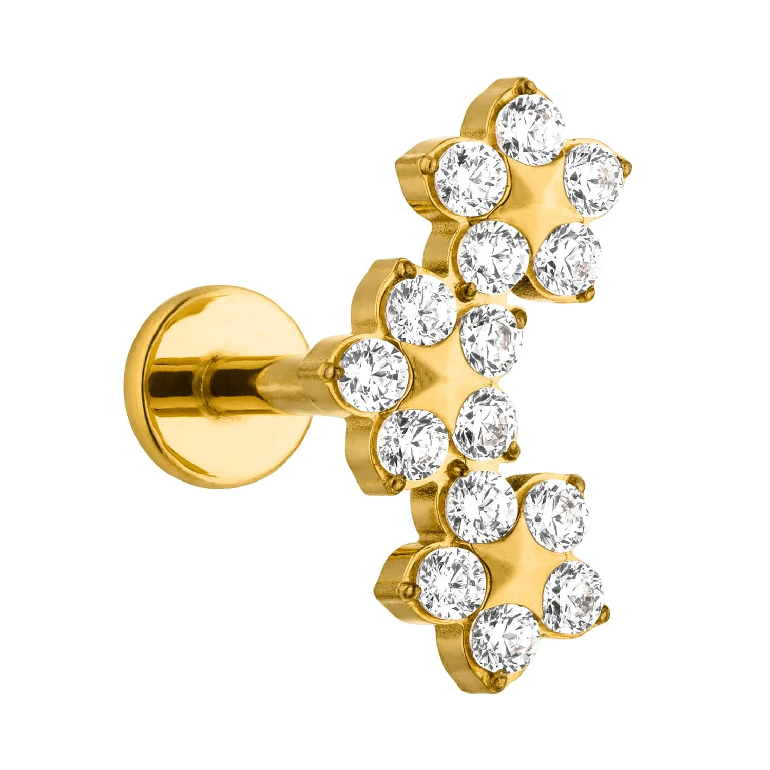 Bloomy Piercing | Titan