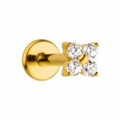 Cute Four Piercing | Titan