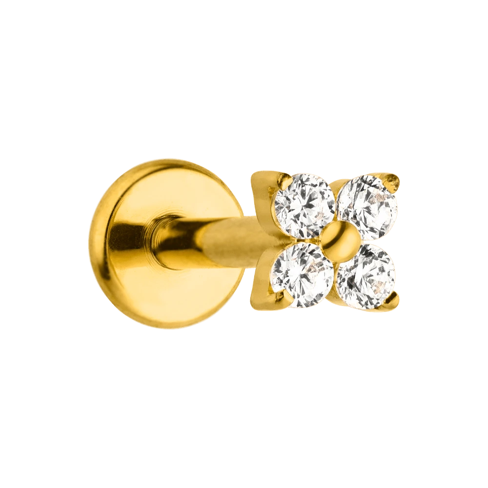 Cute Four Piercing | Titan