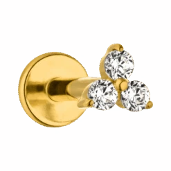 Cute Three Piercing | Titan