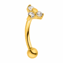 Cute Three Rook Piercing | Titan