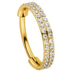 Double Conch Piercing | Titan