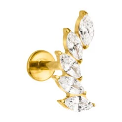 Feather Piercing | Titan