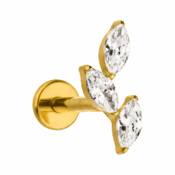 Leaves Piercing | Titan