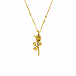 Rosen Kette | 18K Vergoldet