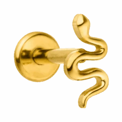 Tiny Snake Piercing | Titan