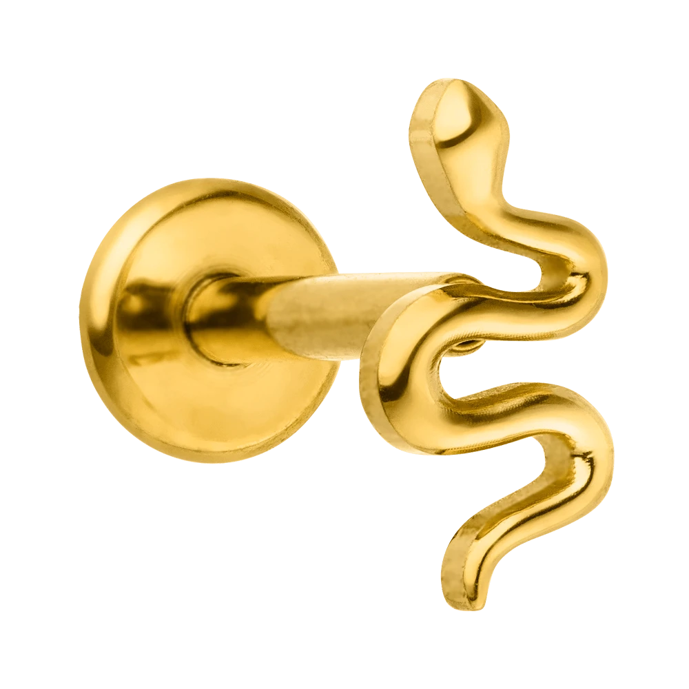 Tiny Snake Piercing | Titan