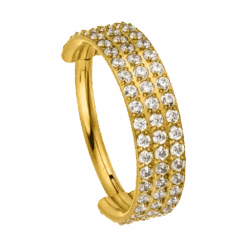 Triple Conch Piercing | Titan